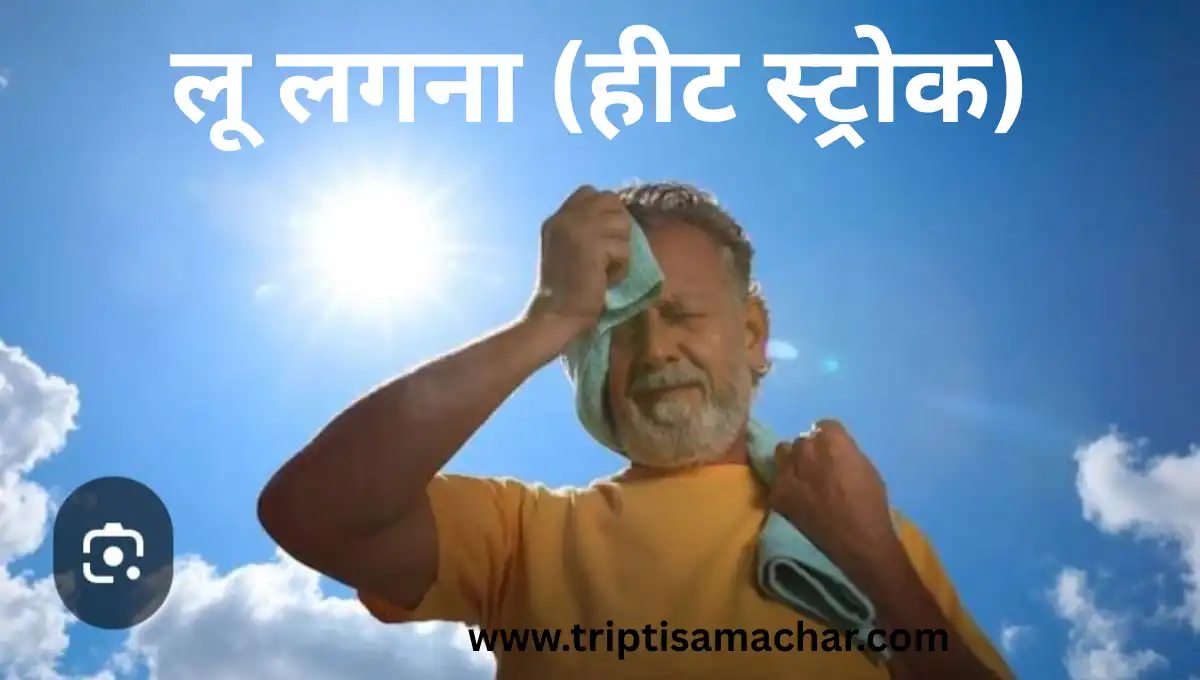 🌡️ लू लगना (हीट स्ट्रोक): कारण, लक्षण और नेचुरोपैथी से उपचार – डॉ. मीना अग्रवाल |