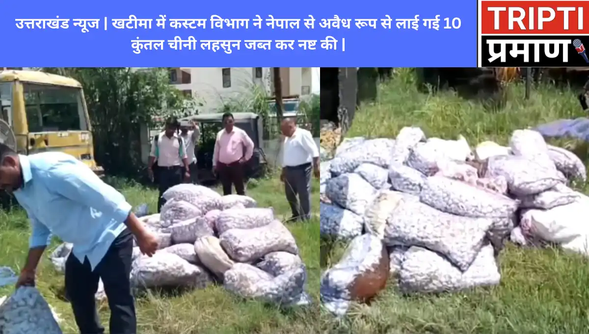खटीमा में कस्टम विभाग ने नेपाल से अवैध रूप से लाई गई 10 कुंतल चीनी लहसुन जब्त कर नष्ट की |