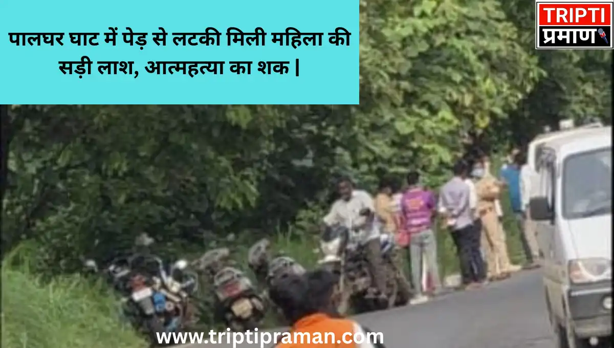 पालघर घाट में पेड़ से लटकी मिली महिला की सड़ी लाश, आत्महत्या का शक |