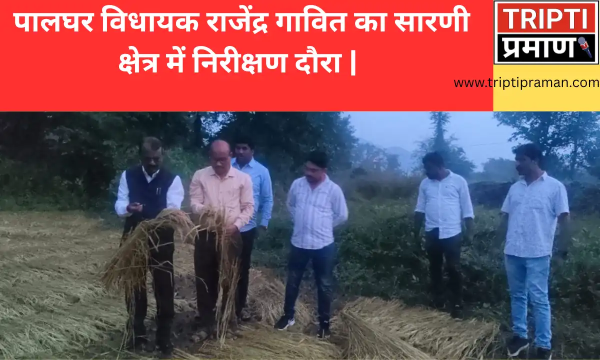 पालघर विधायक राजेंद्र गावित का सारणी क्षेत्र में निरीक्षण दौरा |