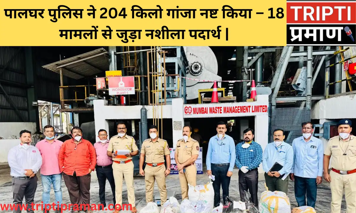 पालघर पुलिस ने 204 किलो गांजा नष्ट किया – 18 मामलों से जुड़ा नशीला पदार्थ |