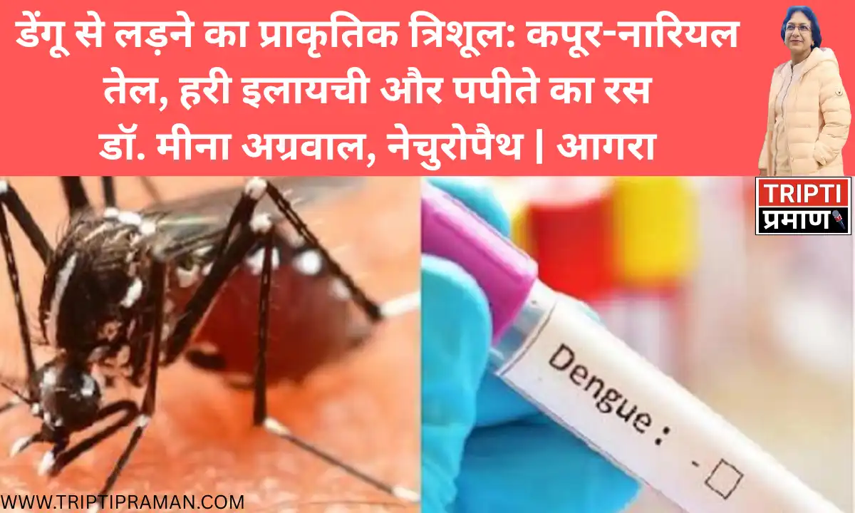 डेंगू से लड़ने का प्राकृतिक त्रिशूल: कपूर-नारियल तेल, हरी इलायची और पपीते का रसडॉ. मीना अग्रवाल, नेचुरोपैथ | आगरा |