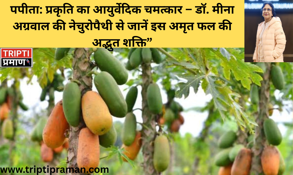 पपीता: प्रकृति का आयुर्वेदिक चमत्कार – डॉ. मीना अग्रवाल की नेचुरोपैथी से जानें इस अमृत फल की अद्भुत शक्ति” |