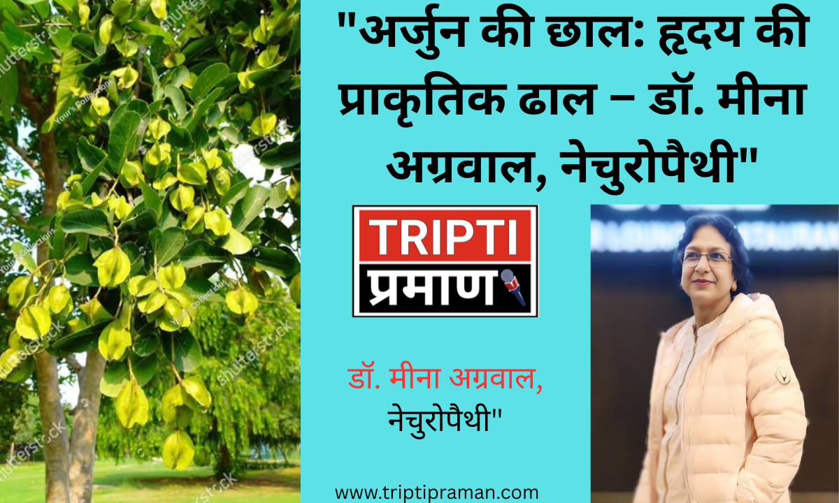 “अर्जुन की छाल: हृदय की प्राकृतिक ढाल – डॉ. मीना अग्रवाल, नेचुरोपैथी” |