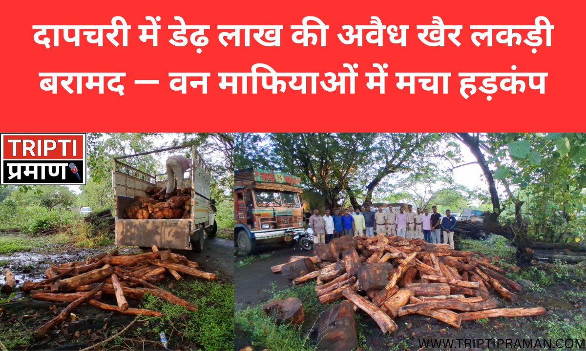 दापचरी में डेढ़ लाख की अवैध खैर लकड़ी बरामद — वन माफियाओं में मचा हड़कंप |