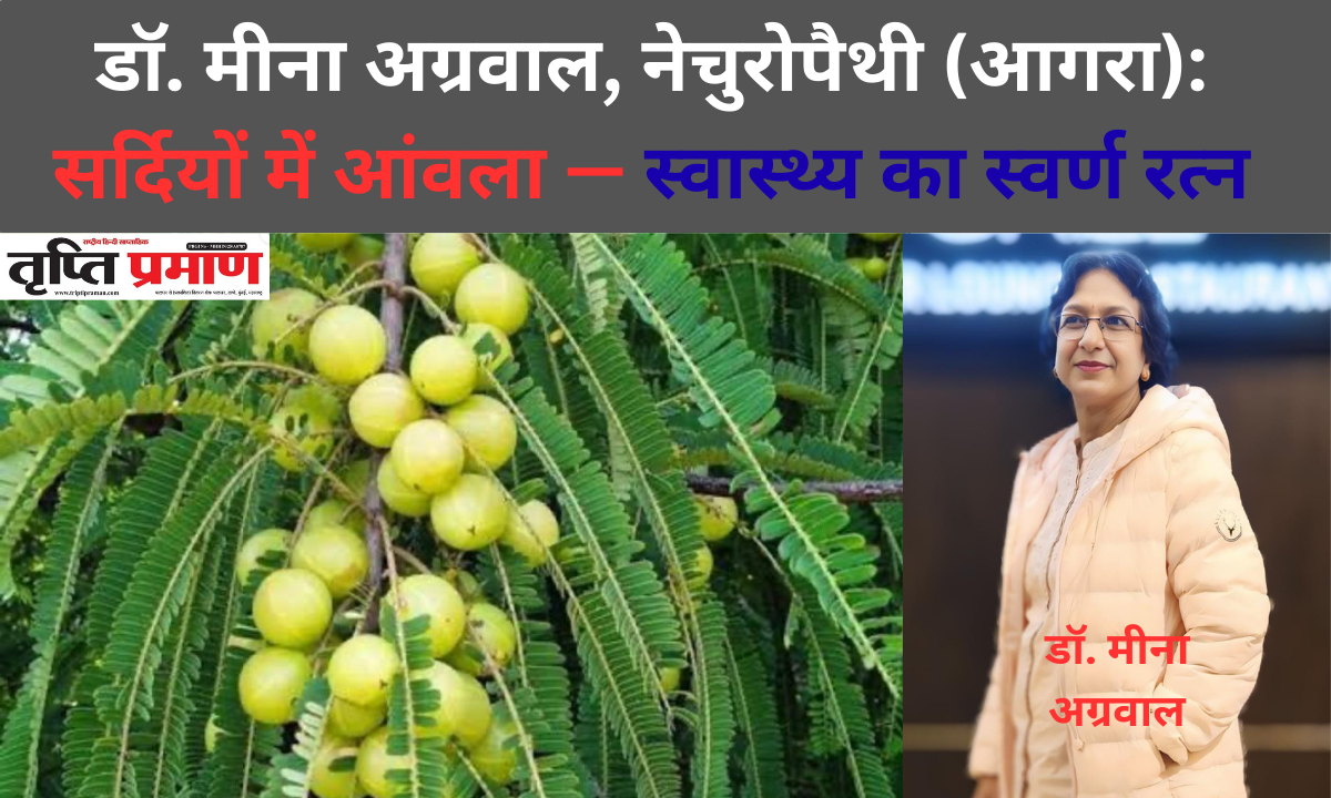 डॉ. मीना अग्रवाल, नेचुरोपैथी (आगरा): सर्दियों में आंवला — स्वास्थ्य का स्वर्ण रत्न |