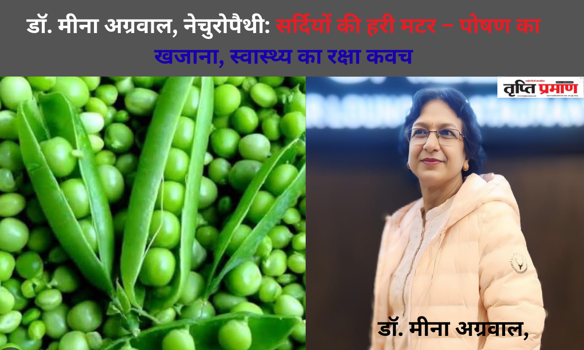 डॉ. मीना अग्रवाल, नेचुरोपैथी: सर्दियों की हरी मटर – पोषण का खजाना, स्वास्थ्य का रक्षा कवच |