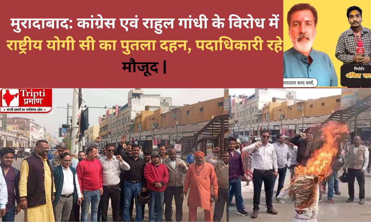 मुरादाबाद: कांग्रेस एवं राहुल गांधी के विरोध में राष्ट्रीय योगी सी का पुतला दहन, पदाधिकारी रहे मौजूद |