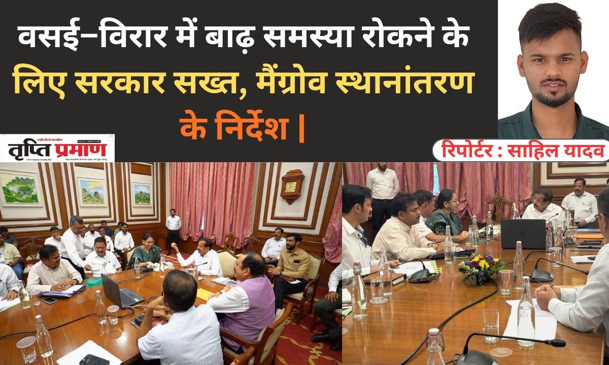 वसई–विरार में बाढ़ समस्या रोकने के लिए सरकार सख्त, मैंग्रोव स्थानांतरण के निर्देश |