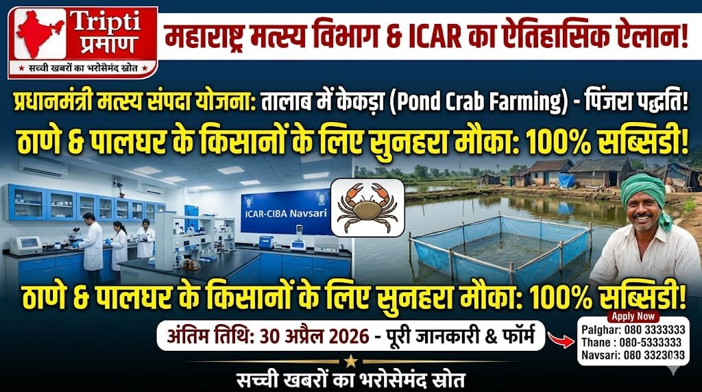 मत्स्य तालाबों में पिंजरा पद्धति से केकड़ा पालन प्रायोगिक परियोजना हेतु आवेदन आमंत्रित |