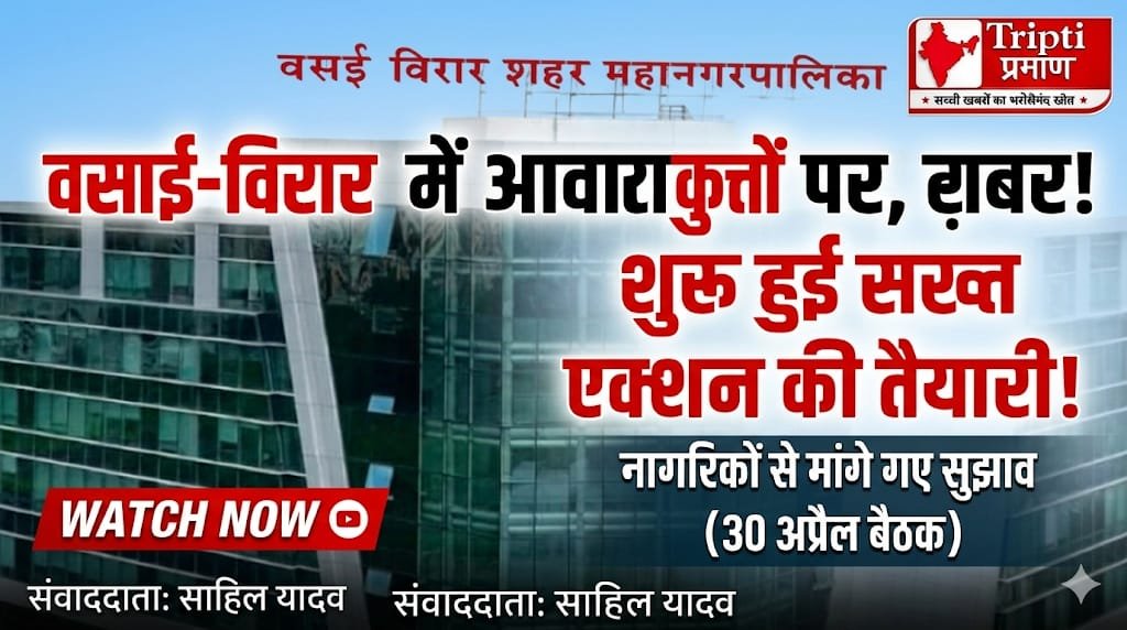 वसई-विरार में आवारा कुत्तों पर सख्त एक्शन की तैयारी, नागरिकों से मांगे जाएंगे सुझाव |