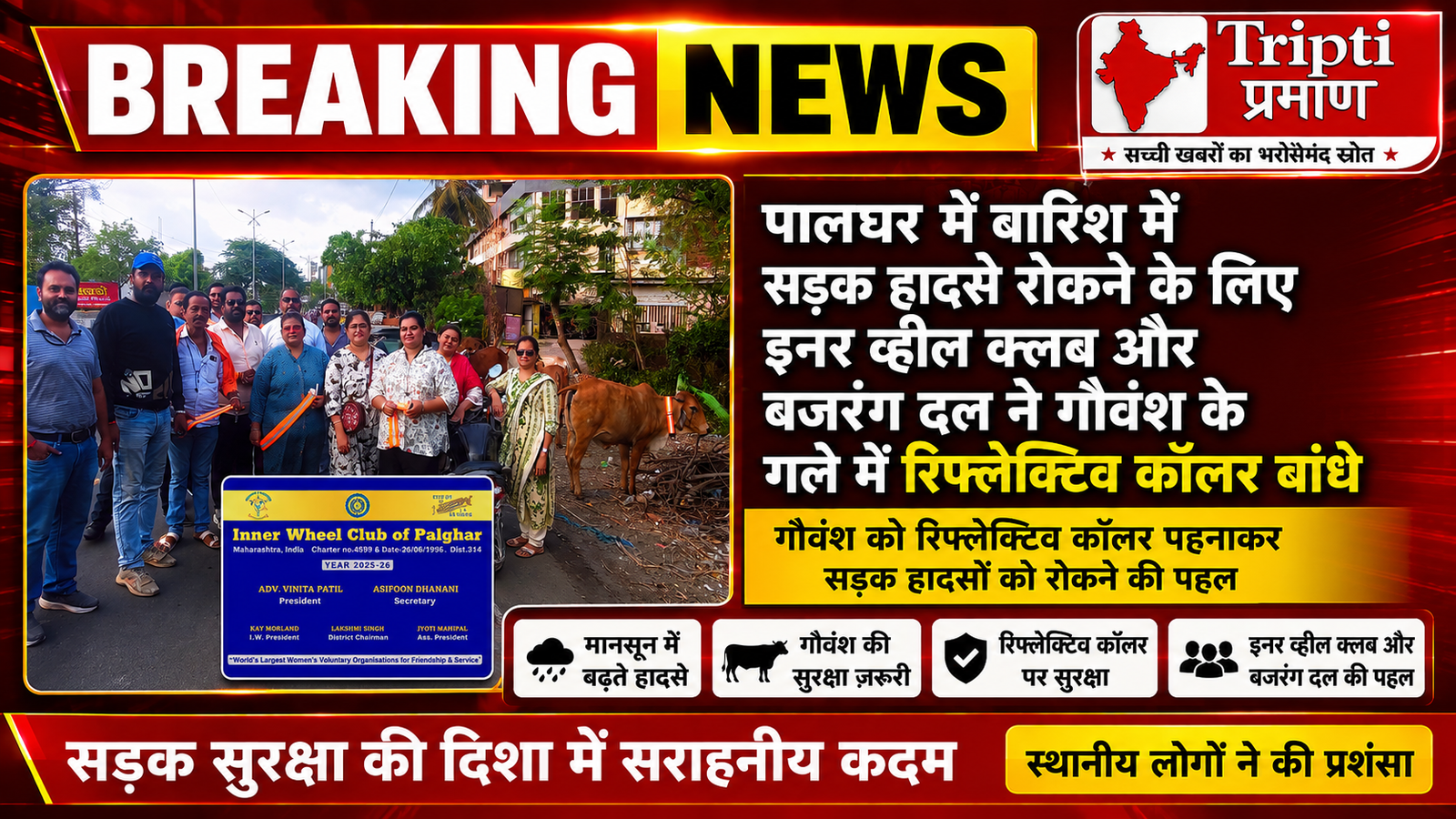 पालघर में सड़क सुरक्षा का अनोखा अभियान: बारिश में दुर्घटनाएं रोकने के लिए गौवंश के गले में बांधे गए रिफ्लेक्टिव कॉलर |