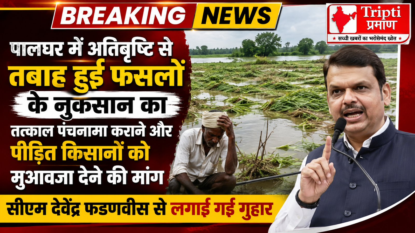 पालघर में कुदरत का कहर, अन्नदाताओं पर गहराया आर्थिक संकट; सीएम से तुरंत मुआवजे की गुहार |
