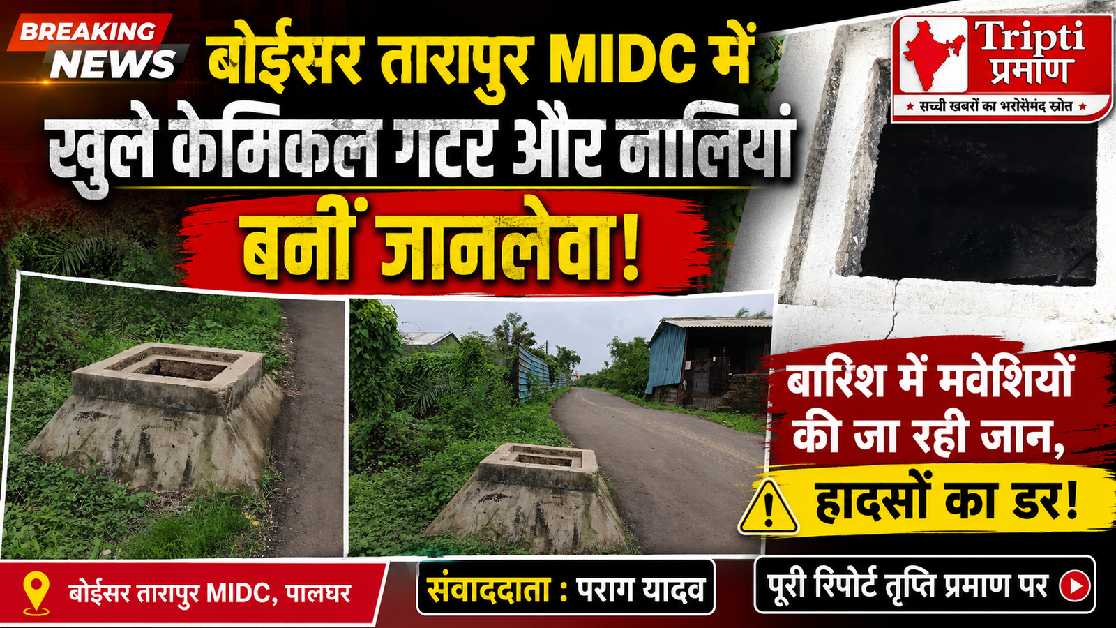 बोईसर तारापुर MIDC में खुले केमिकल गटर और नालियां बनीं ‘मौत का कुआं’: भारी बारिश के बीच मंडराया बड़ा खतरा, बेजुबान मवेशियों की जा रही जान! |