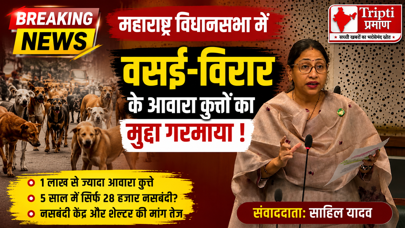 विधानसभा में गूंजा वसई-विरार के आवारा कुत्तों का मुद्दा, विधायक स्नेहा दुबे पंडित ने सरकार से मांगा जवाब |