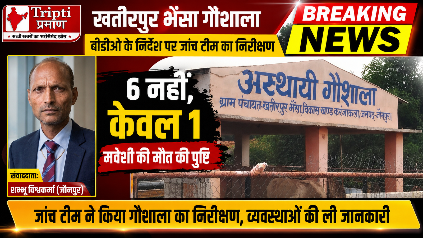 जौनपुर: खतीरपुर भैंसा गौशाला में मवेशियों की मौत की खबर का सच आया सामने, टीम के निरीक्षण में एक गोवंश की मृत्यु की पुष्टि; कीचड़ से बचाव को बिछ रहा खड़ंजा |