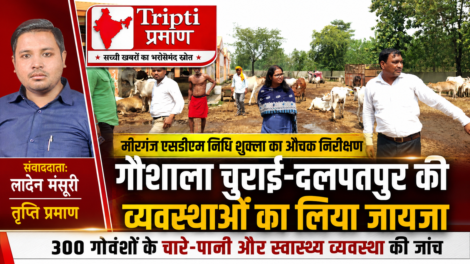 एसडीएम मीरगंज निधि शुक्ला का औचक निरीक्षण: गौसेवा में दिखाई प्रशासनिक प्रतिबद्धता |