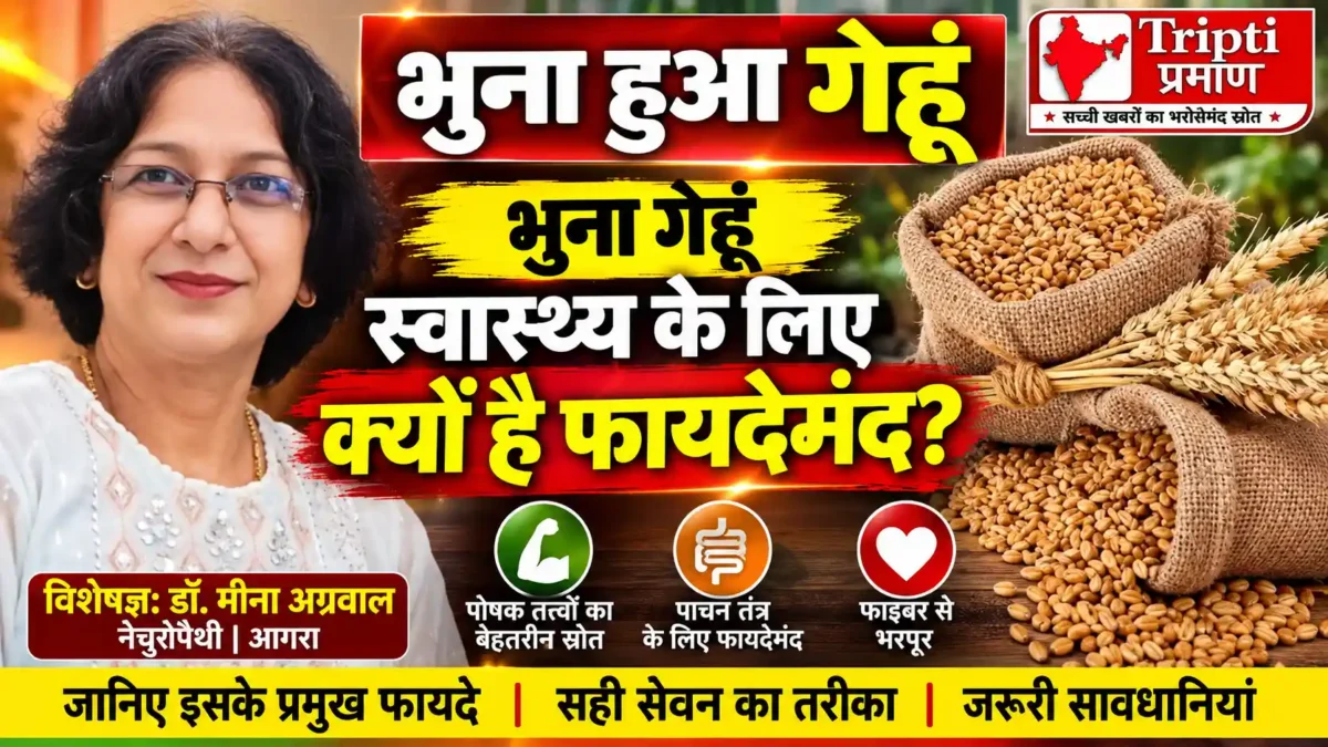 डॉ. मीना अग्रवाल, नेचुरोपैथी: भुने हुए गेहूं के संभावित स्वास्थ्य लाभ