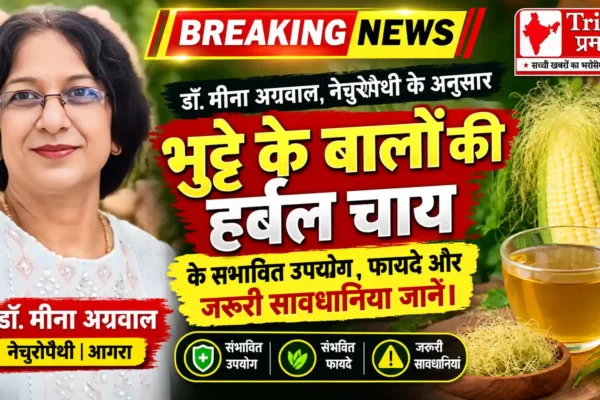डॉ. मीना अग्रवाल, नेचुरोपैथी: भुट्टे के बालों की हर्बल चाय के संभावित फायदे और सावधानियां |