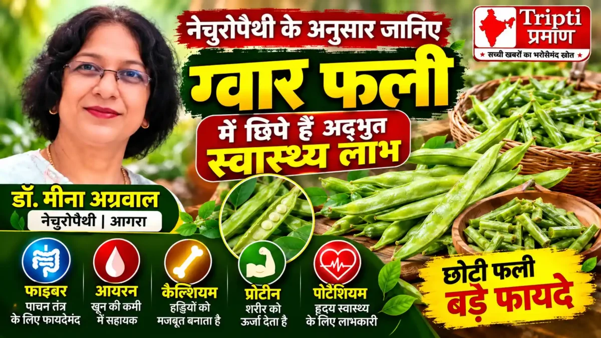 डॉ. मीना अग्रवाल की नेचुरोपैथी सलाह: ग्वार फली के सेवन से मिल सकते हैं सेहत को कई पोषण लाभ |
