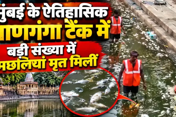 मुंबई के ऐतिहासिक बाणगंगा टैंक में सैकड़ों मछलियों की मौत, जल प्रदूषण को लेकर चिंता बढ़ी |