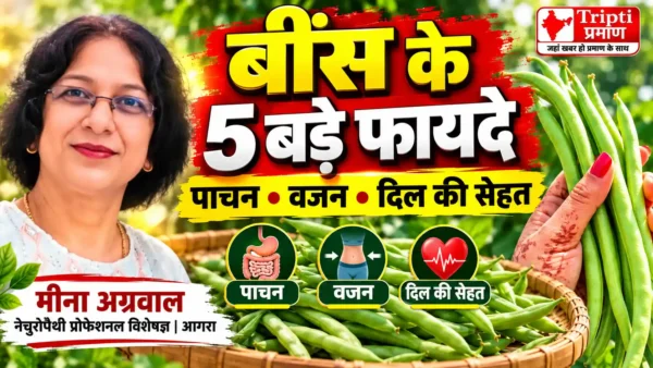 बींस के फायदे: पाचन, वजन प्रबंधन और हृदय स्वास्थ्य के लिए क्यों जरूरी हैं हरी फलियां?