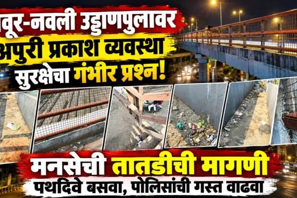 वेवूर-नवली फ्लाईओवर पर स्ट्रीट लाइट के लिए मनसे का प्रयास |