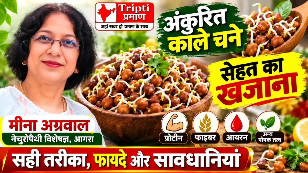 अंकुरित चना पोषण का अच्छा स्रोत, पाचन से लेकर फिटनेस तक संतुलित आहार में हो सकता है उपयोगी: मीना अग्रवाल |